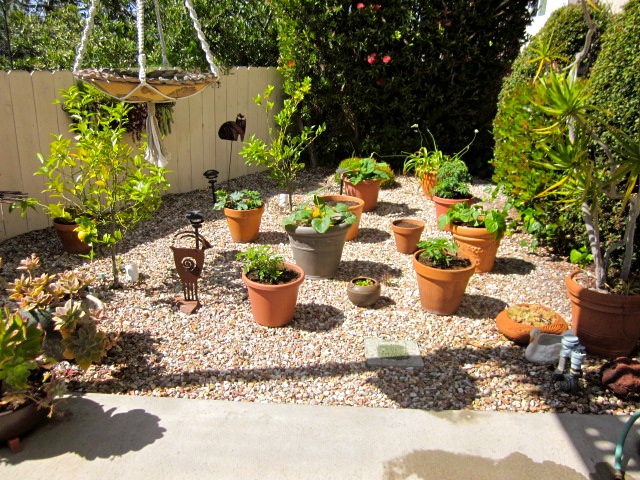 garden design ideas south africa With No Grass Backyard Ideas | 640 x 480